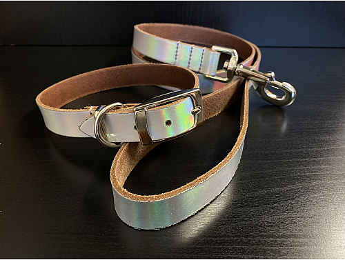 Silver Holographic - Leather Dog Collar & Lead - Size M